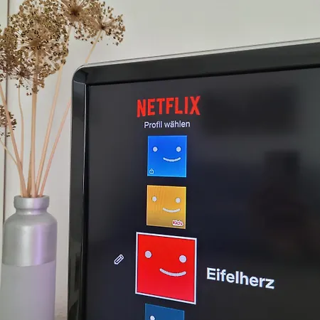 Eifelherz Mit Sonnenterrasse Апартаменты