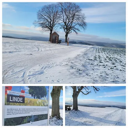 Eifelherz Mit Sonnenterrasse Апартаменты *