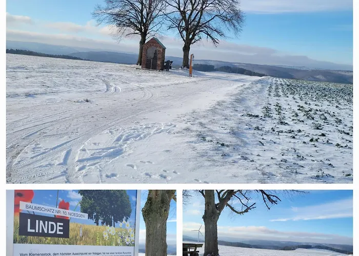 Eifelherz Mit Sonnenterrasse Daire *